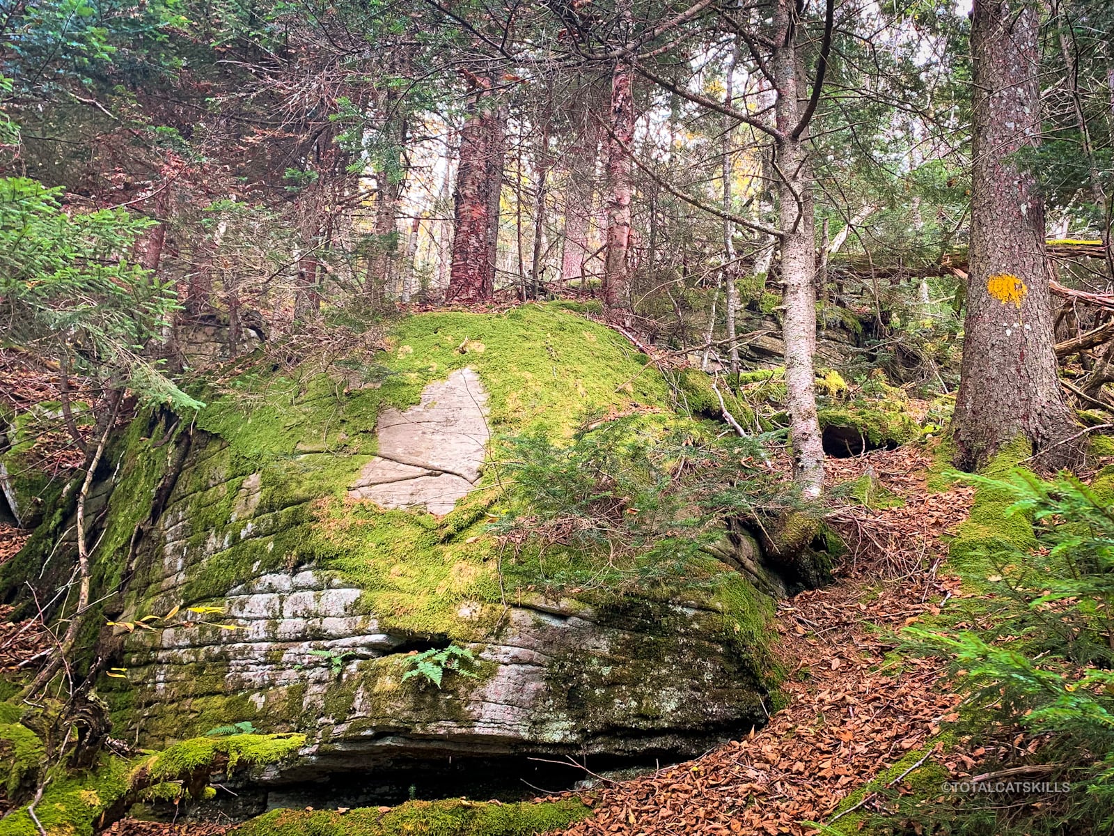 large mossy boulder
