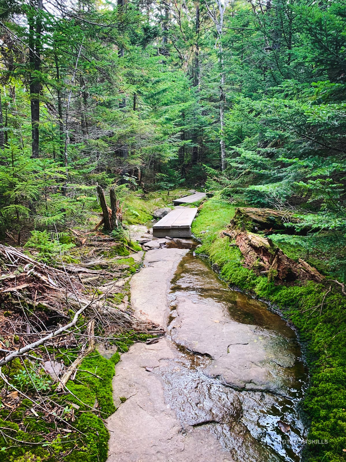 rocky woods trail