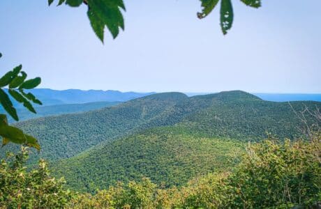 The Catskill 9