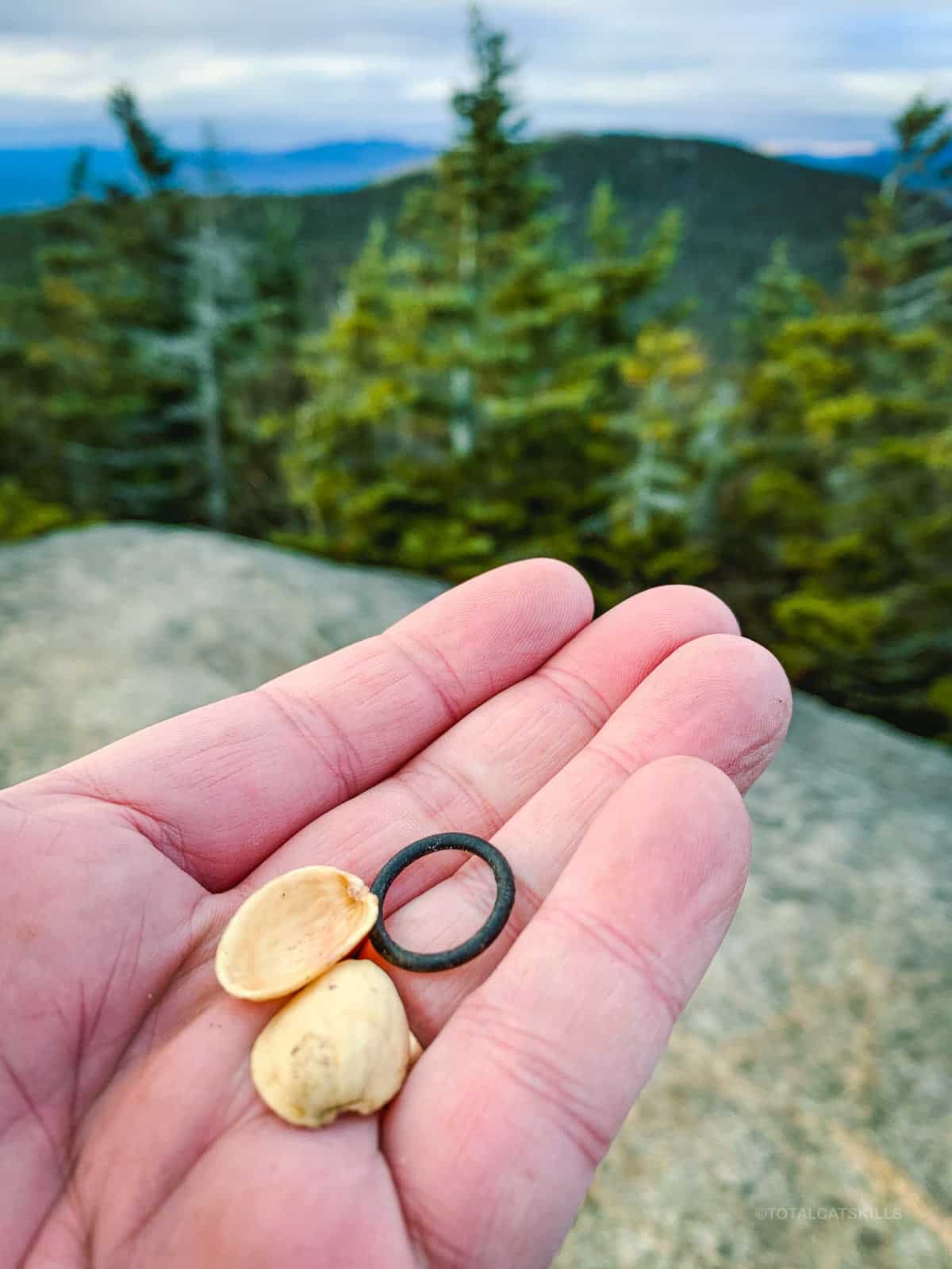 hand holding two pistachio shells and a small black plastic ring