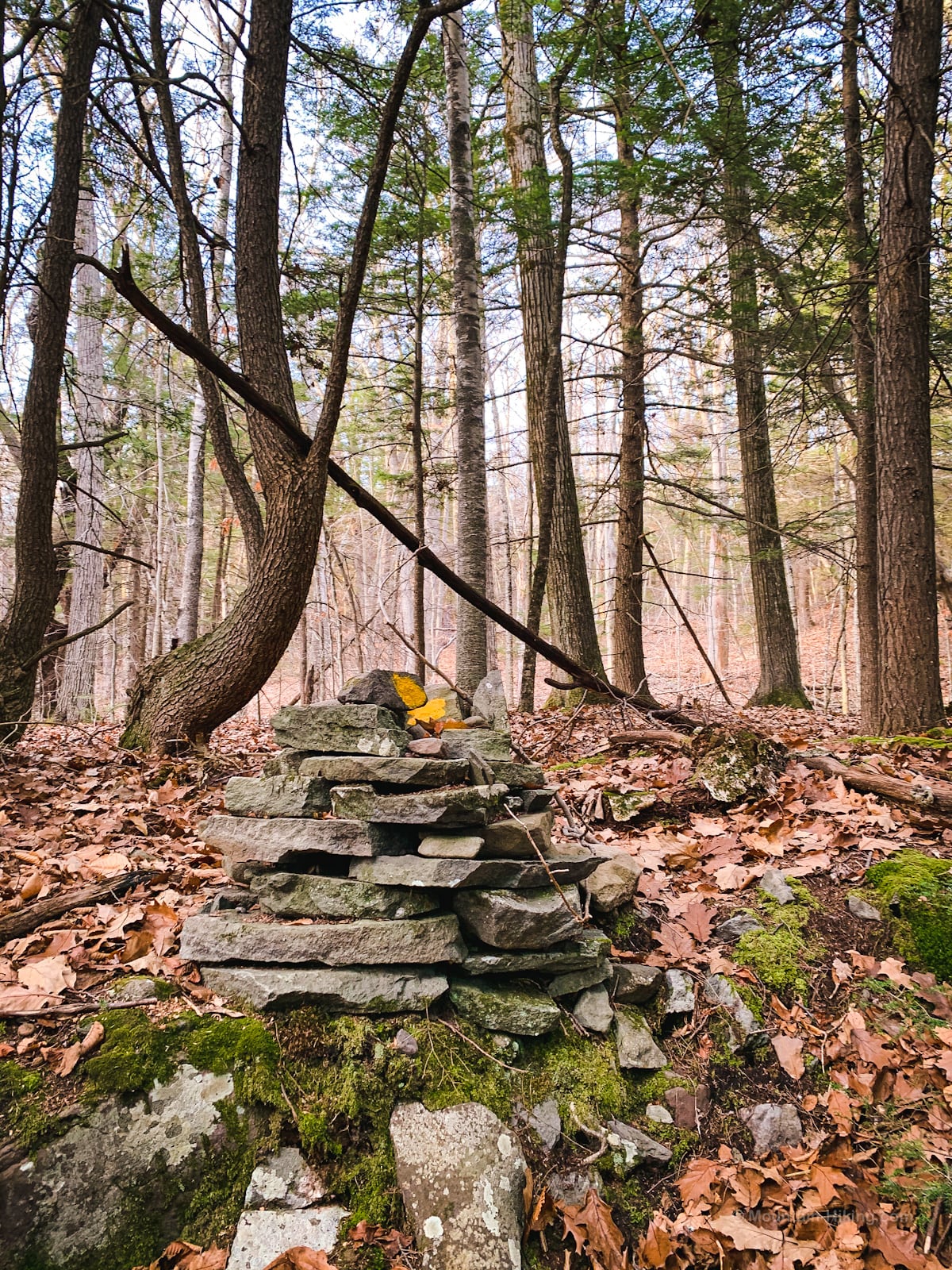 rock cairn in woods