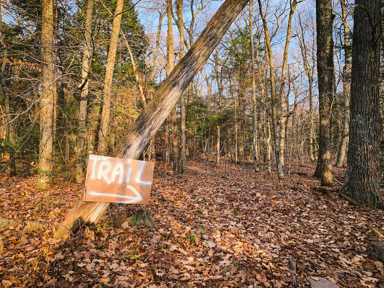 unofficial sign in woods
