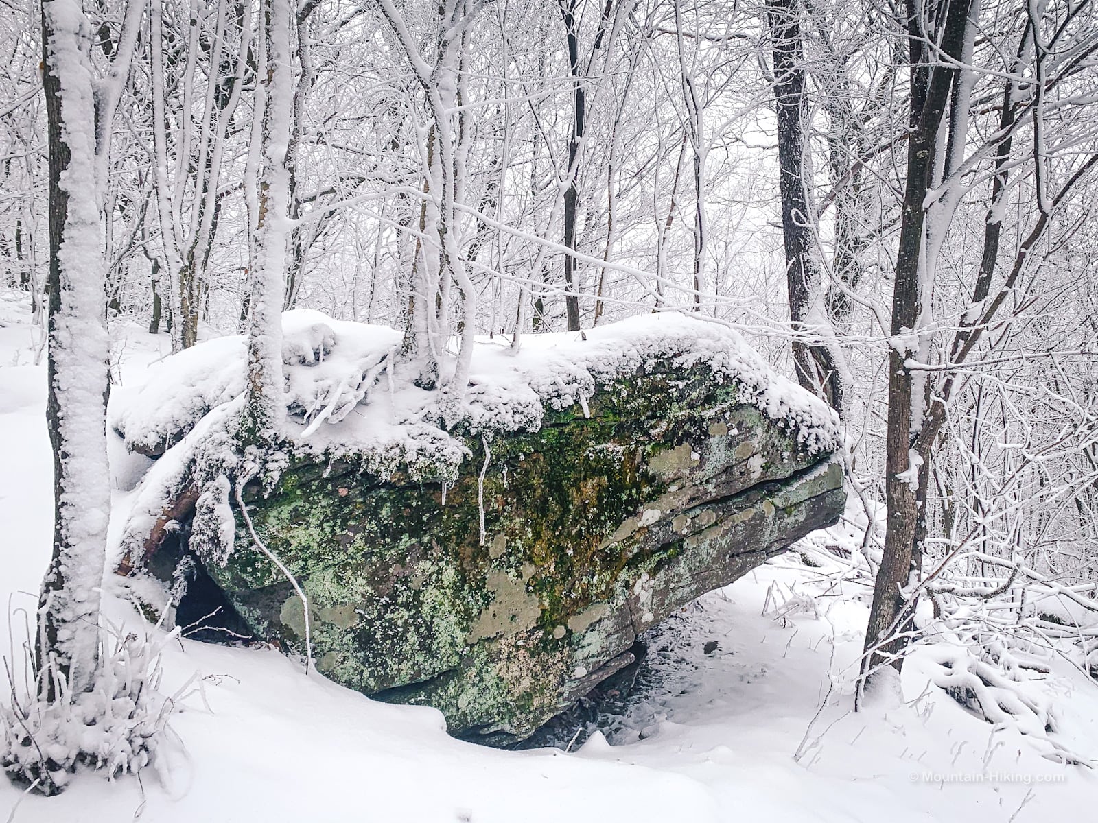 snowy boulder