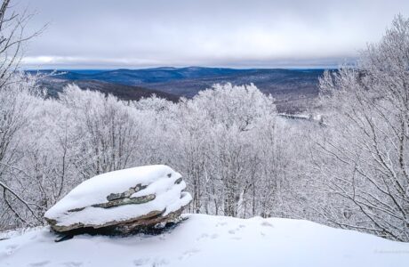 scenic view snow