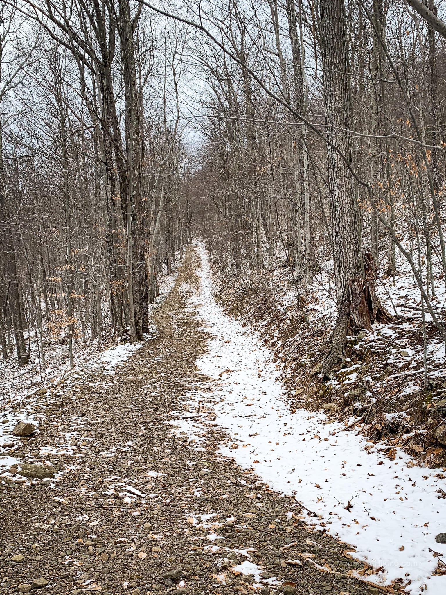 steep snow-lined trail in woods