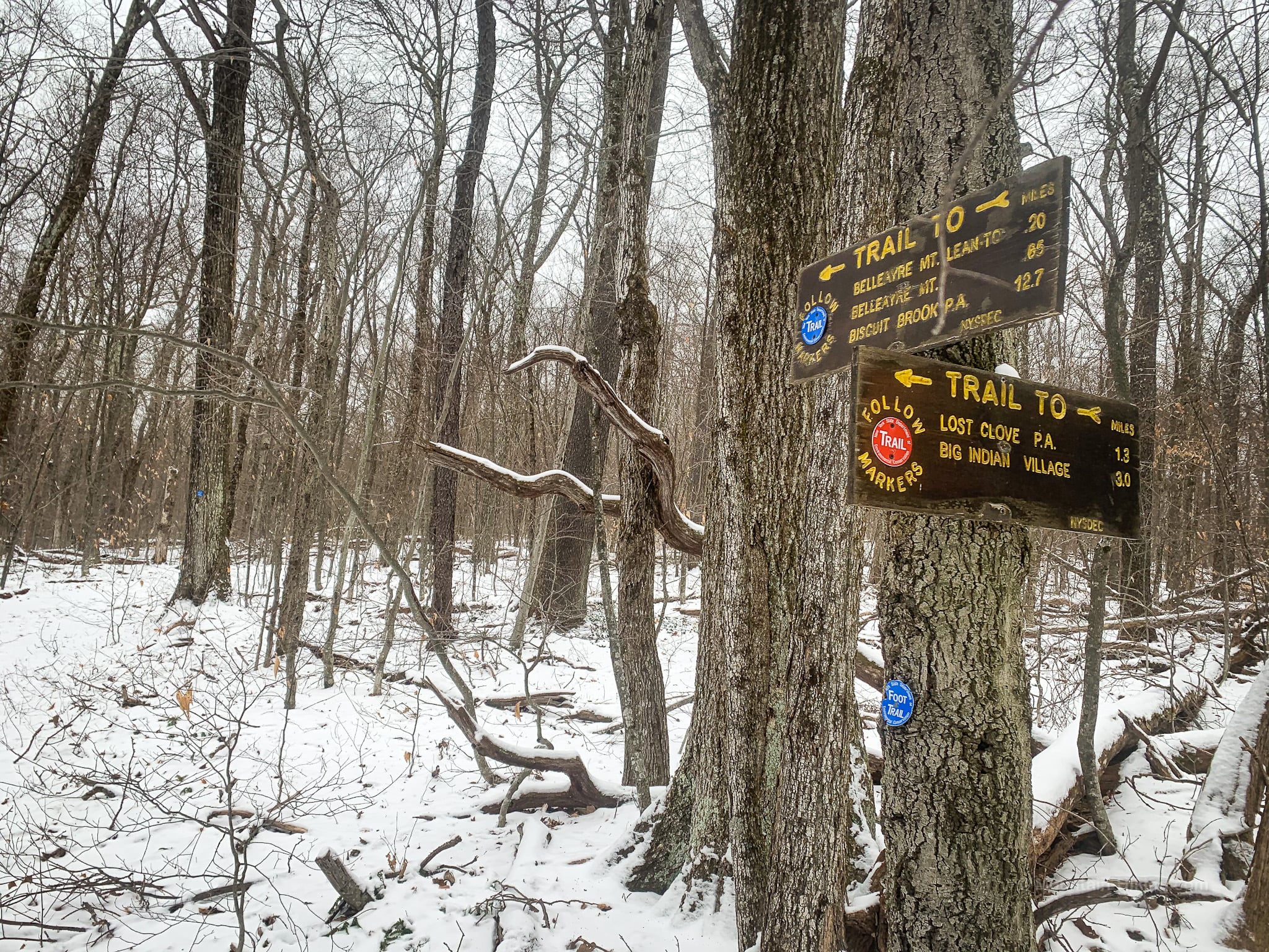 trail signposts