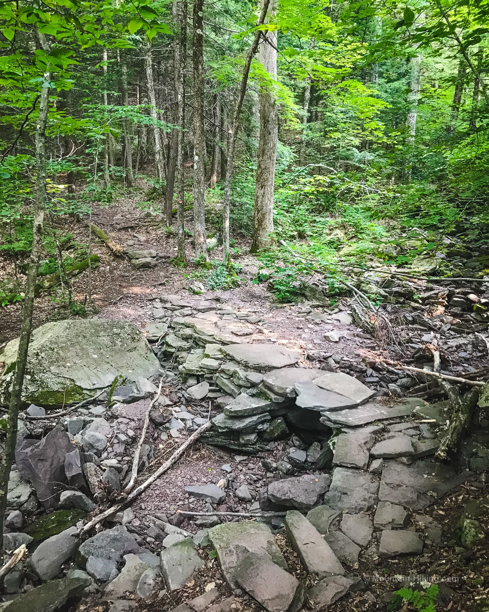 rock footbridge in woods