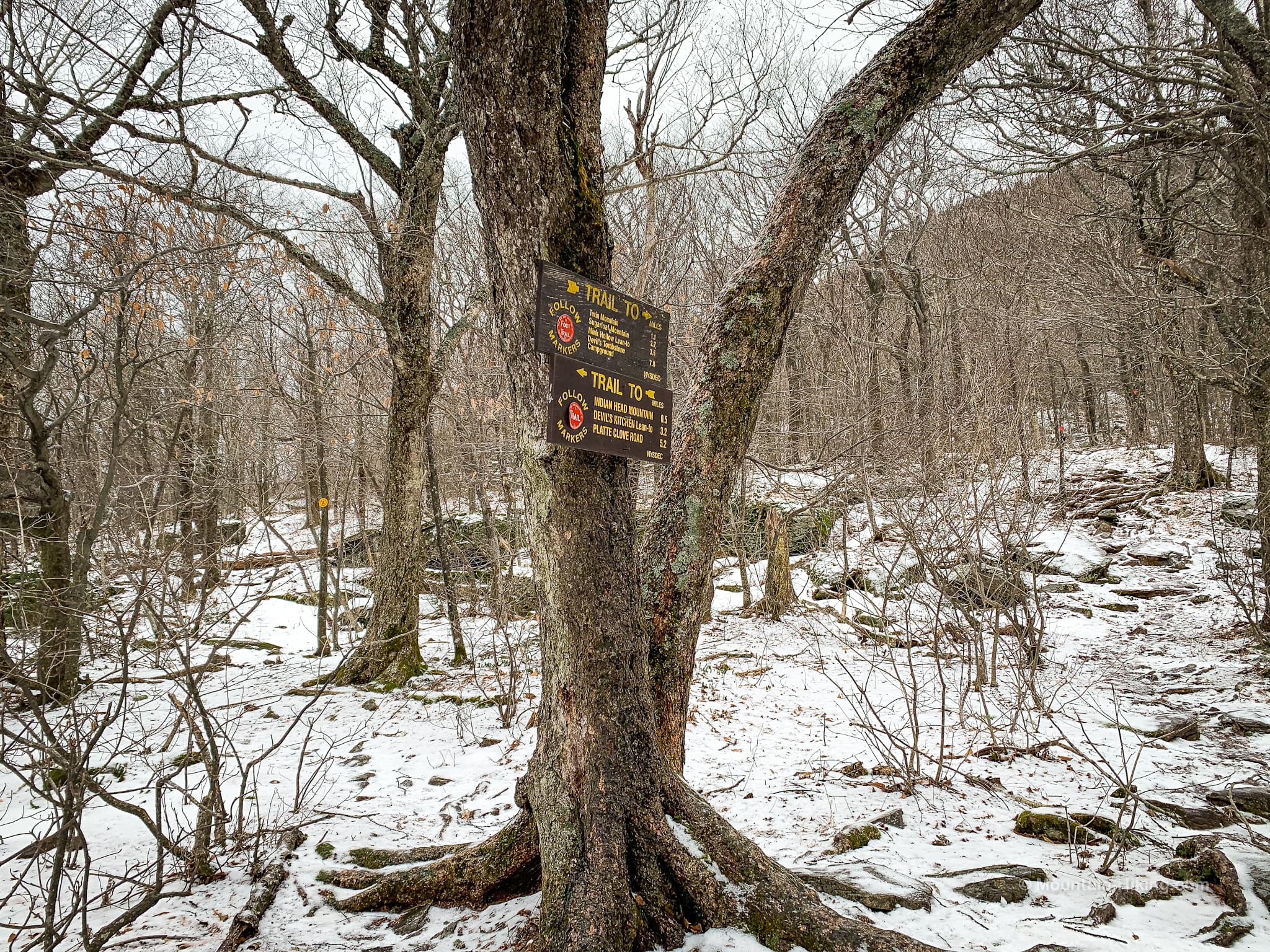trail signposts on tree