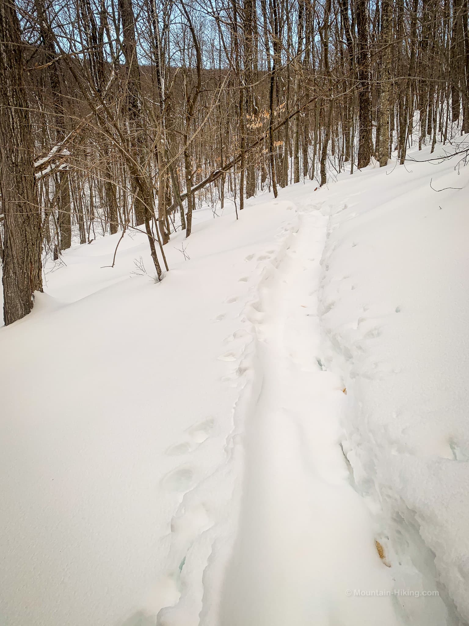 winter trail terms: snowshoe trench in snow