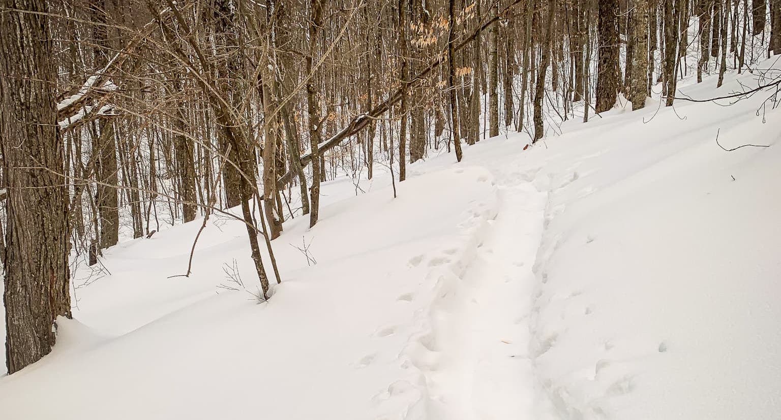 snowshoe trench in snow
