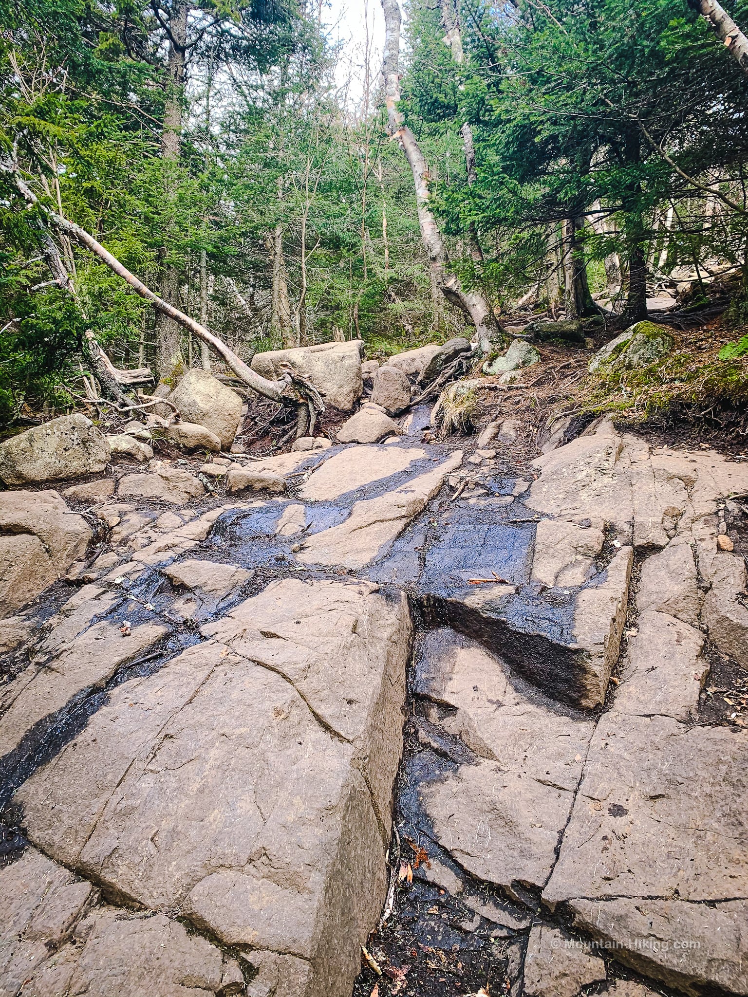 exposed Adirondack rock bed