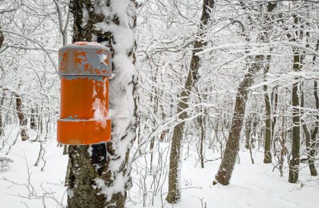 orange canister affixed to tree trunk