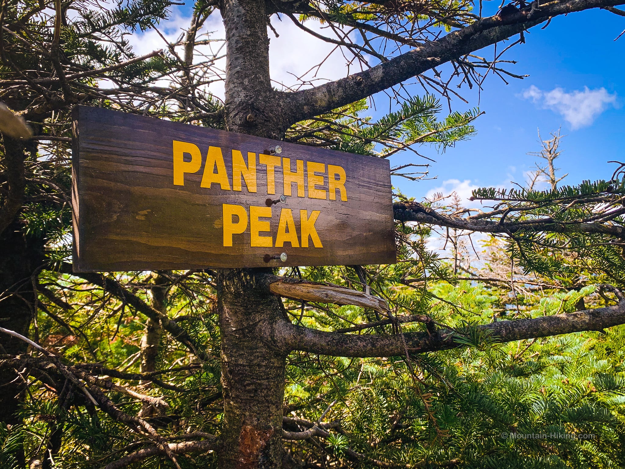wooden sign at summit of Panther Peak in the Adirondacks