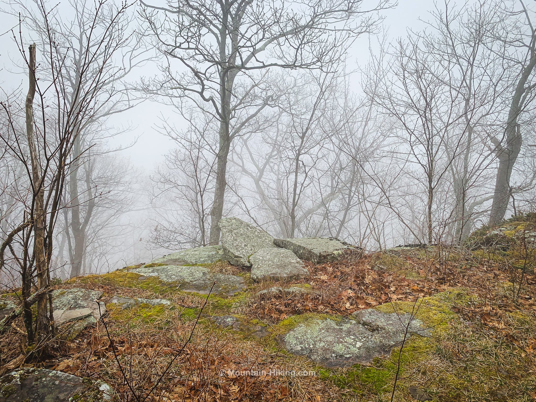 foggy view from scenic mountain ledge