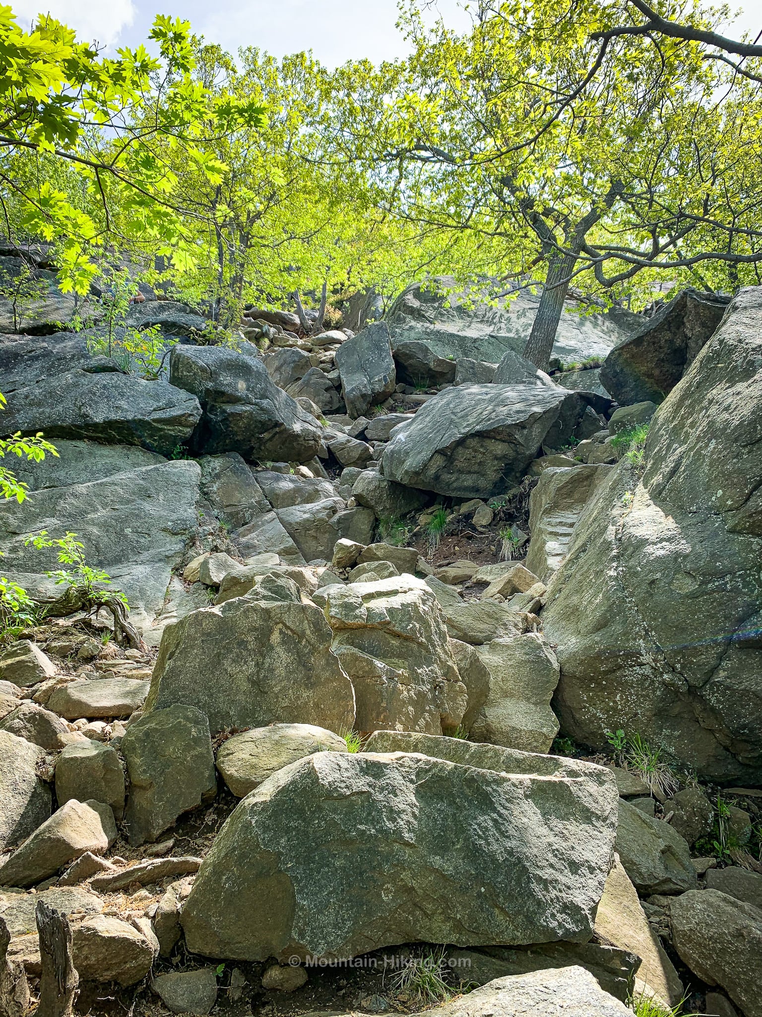 rocky trail on Breakneck Ridge