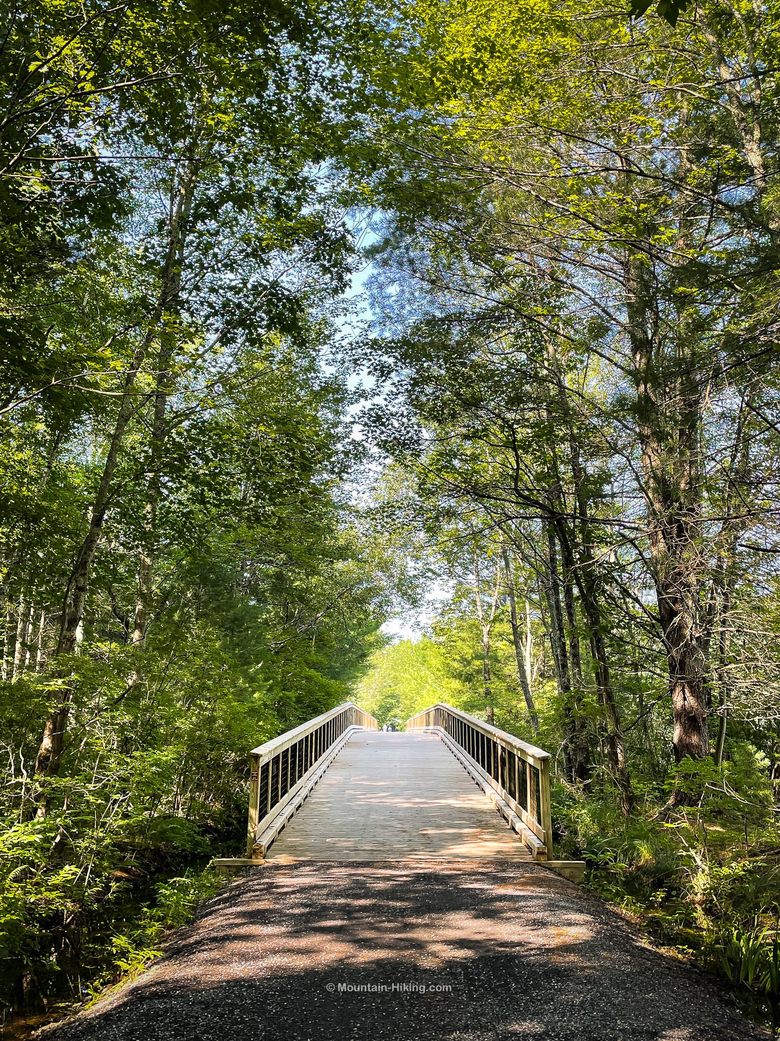 Ashokan Rail Trail footbridge in woods