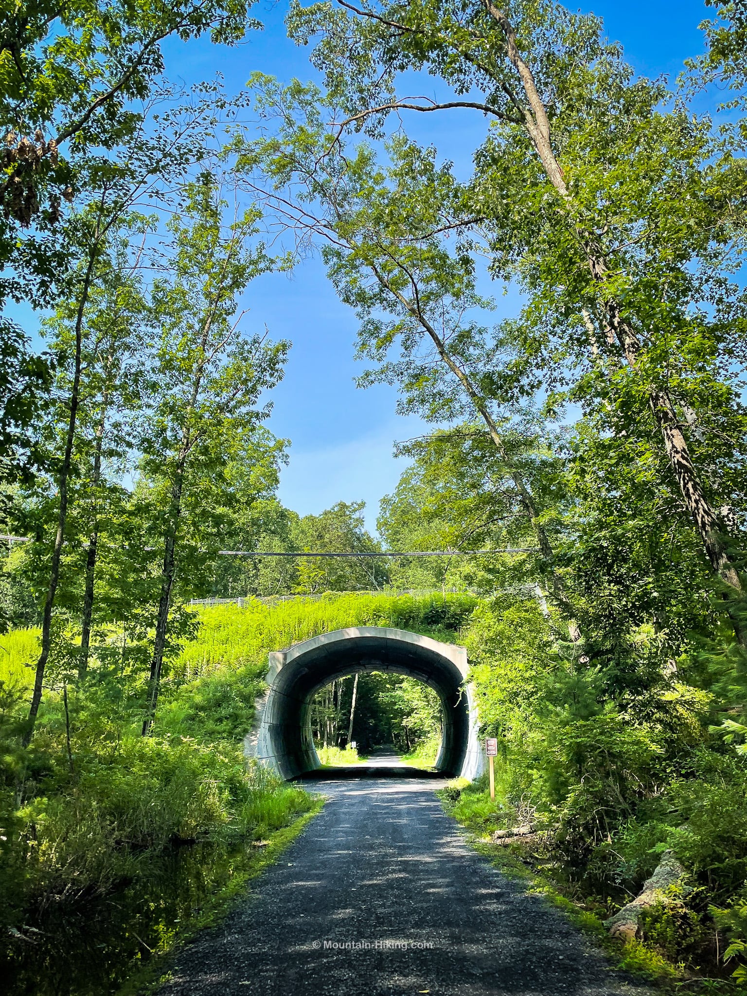 Ashokan Rail Trail tunnel under road