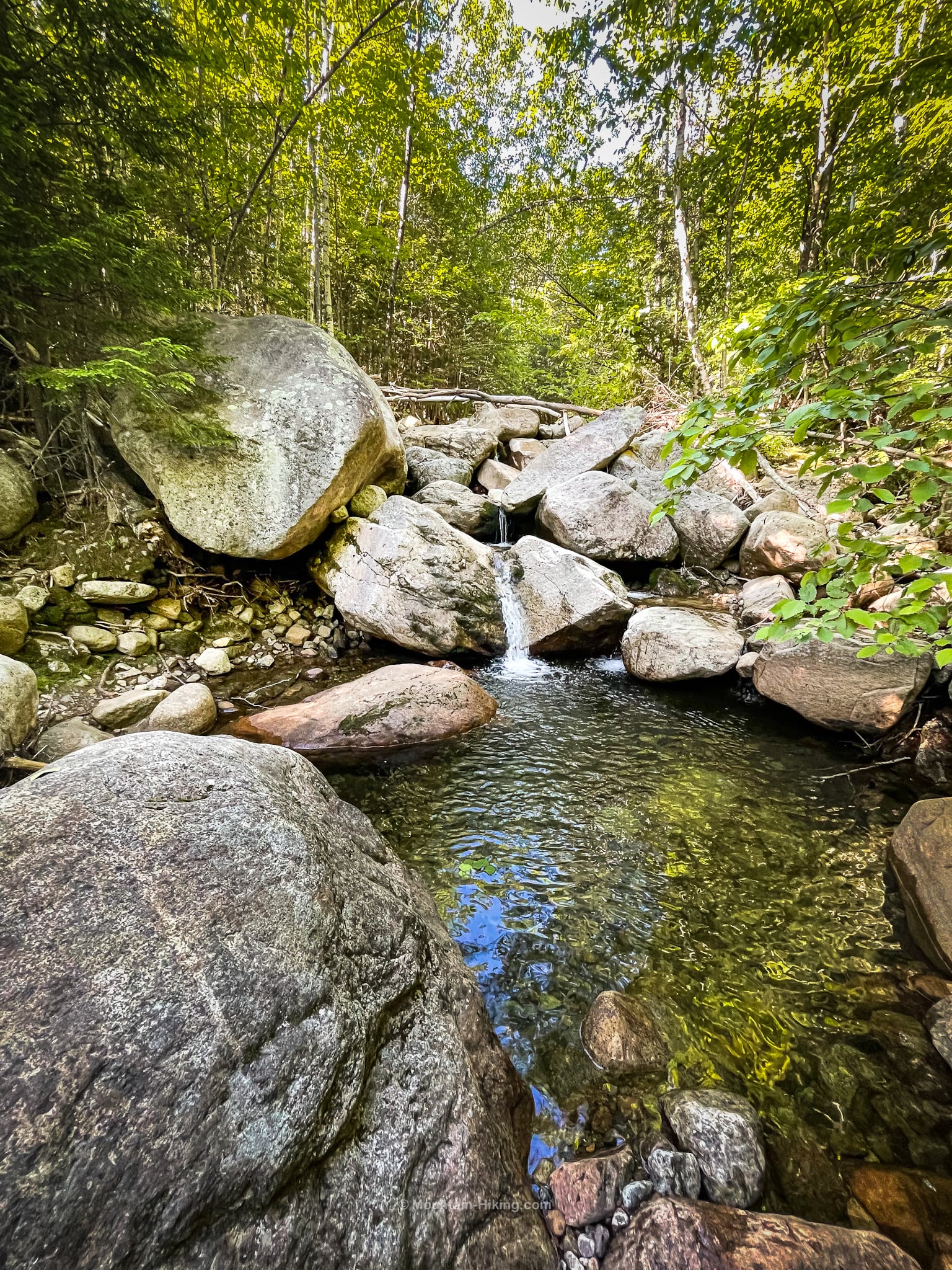 Giant Mountain Adirondacks Super Scenic Hiking   Giant Mtn 3992 