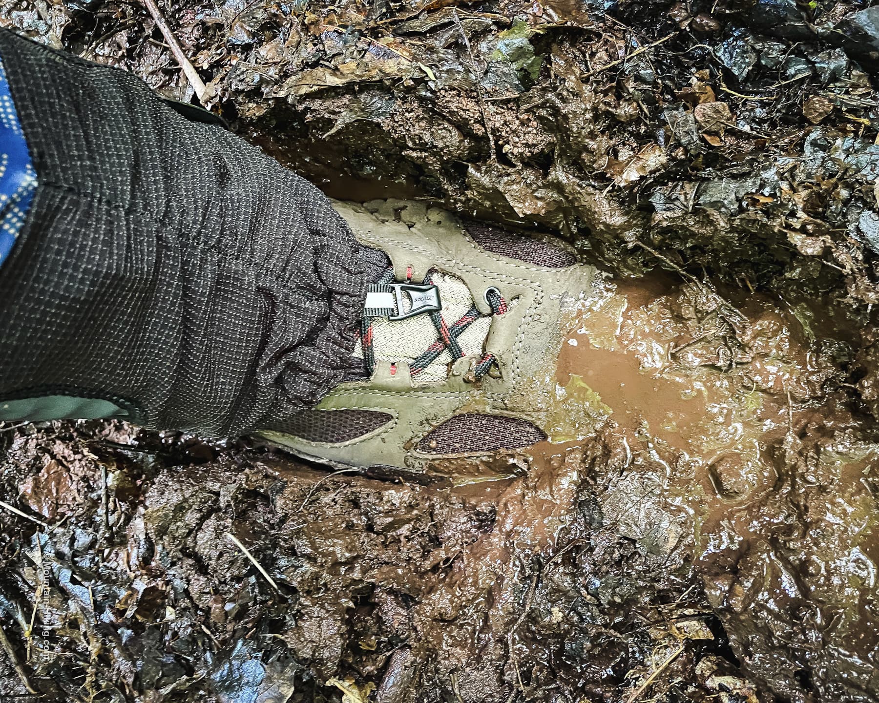 brand new hiking boot stuck deep in mud