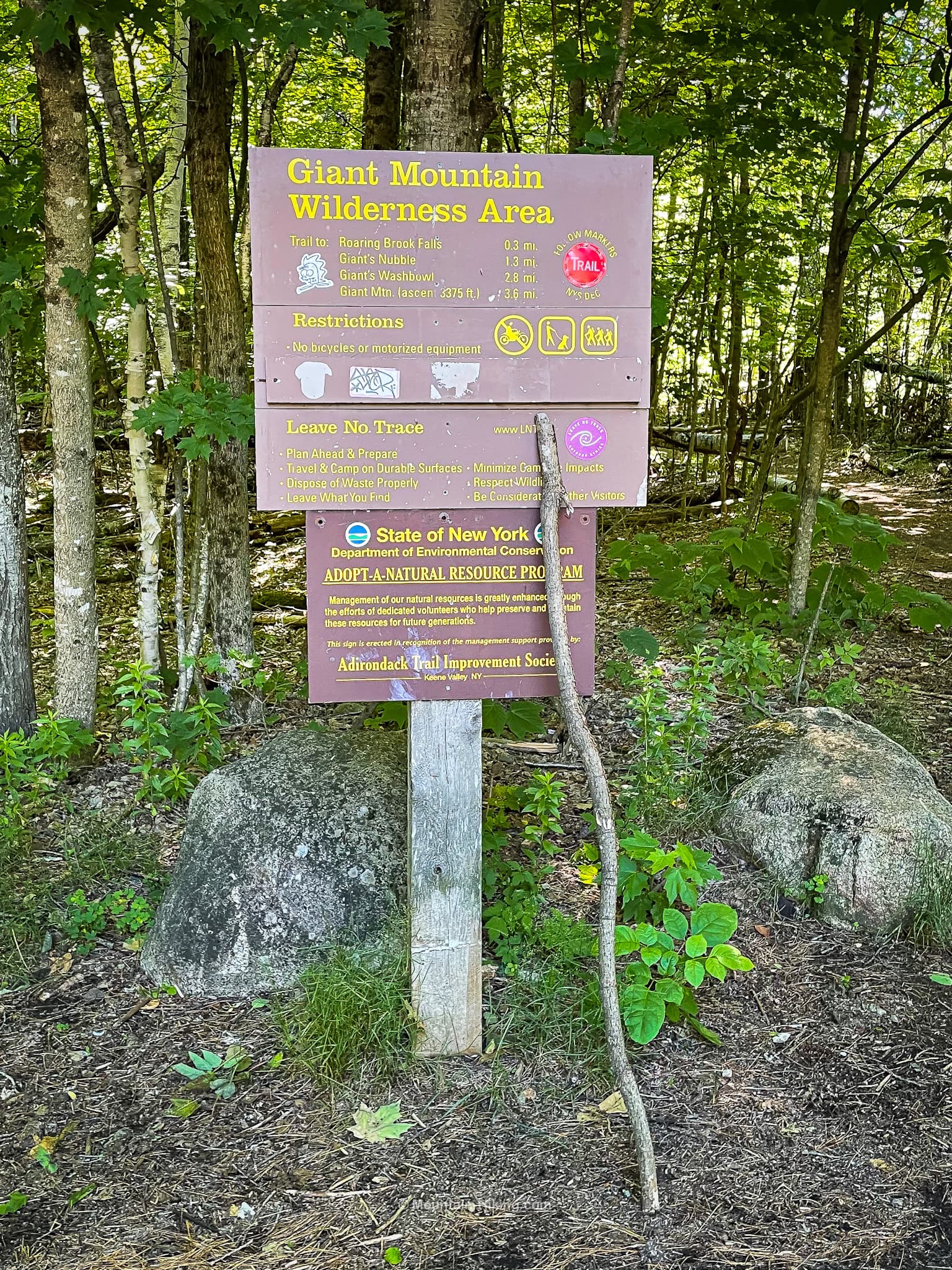 signposts in woods