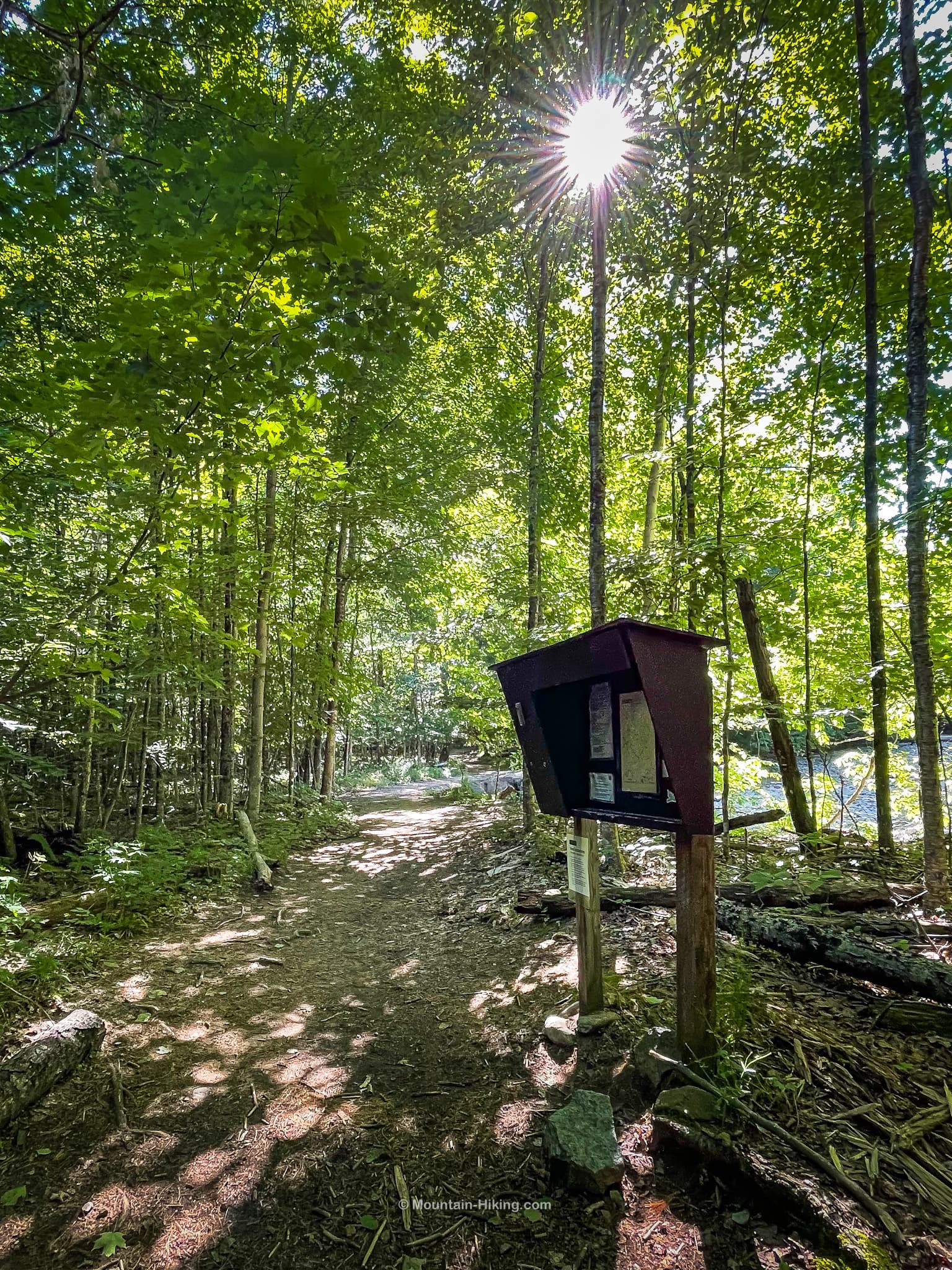 brown metal trail register in woods