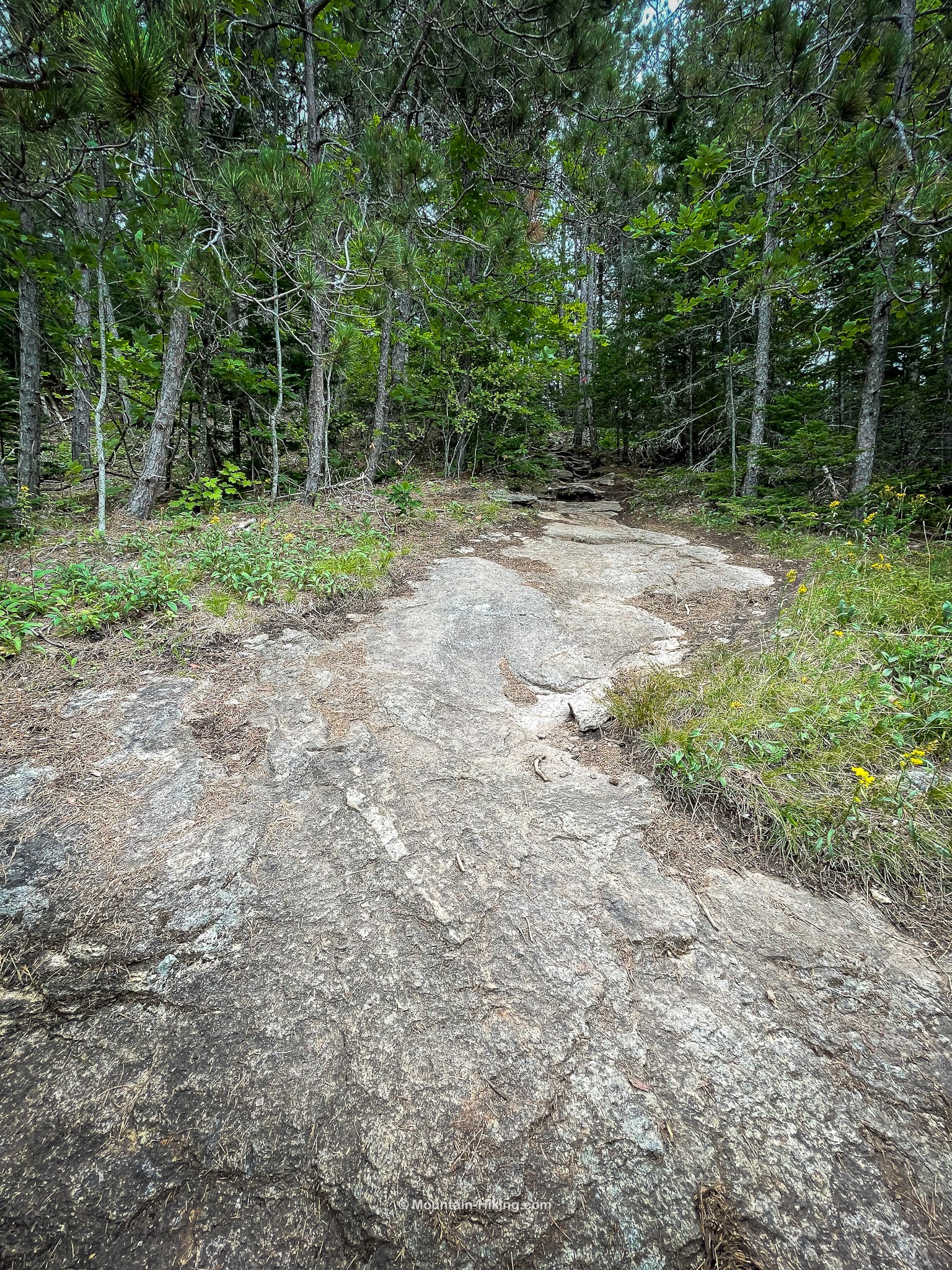 rock slab trail bed