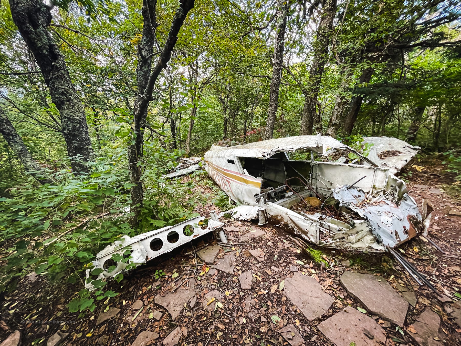 stoppel point plane crash in woods