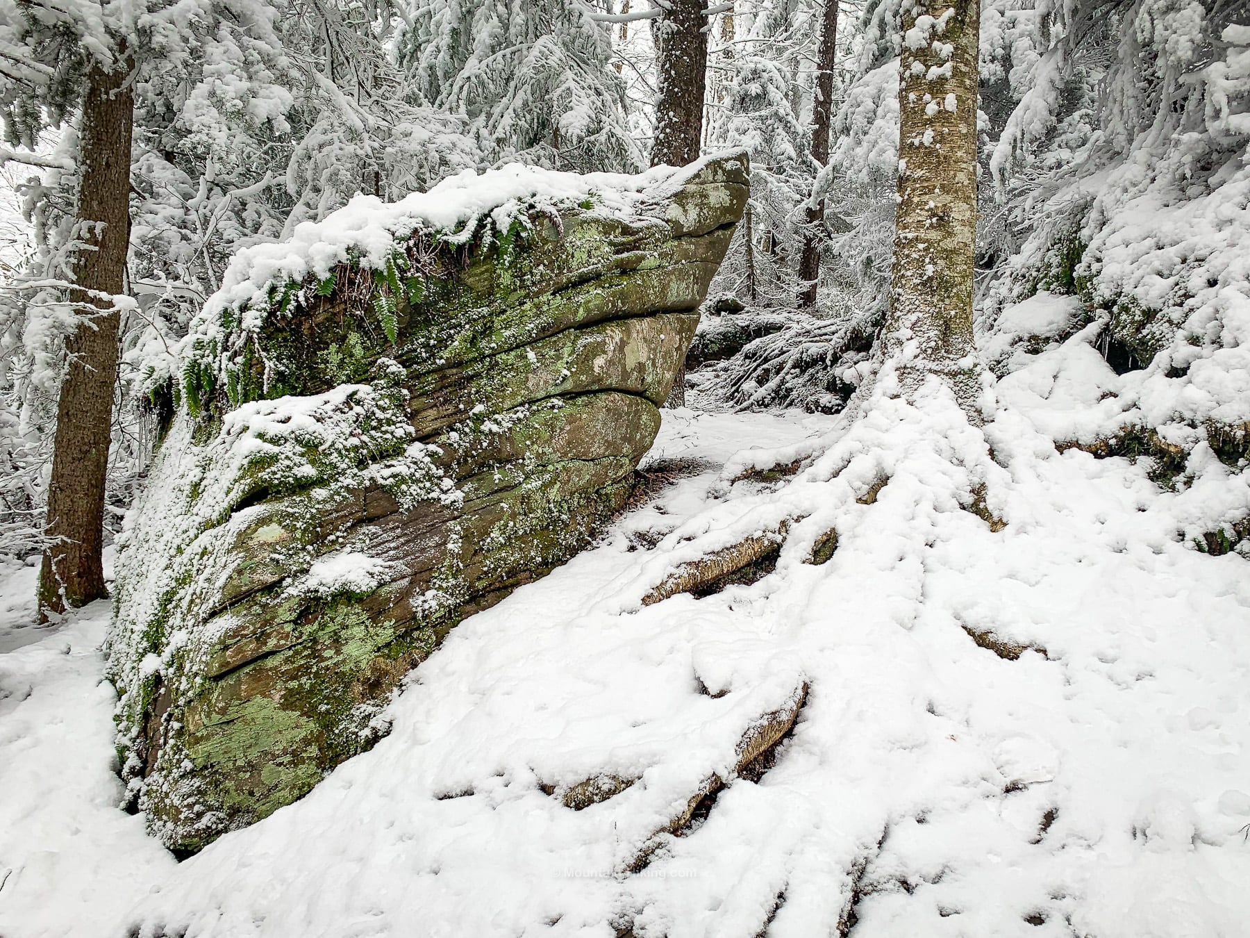 snow-covered boulder