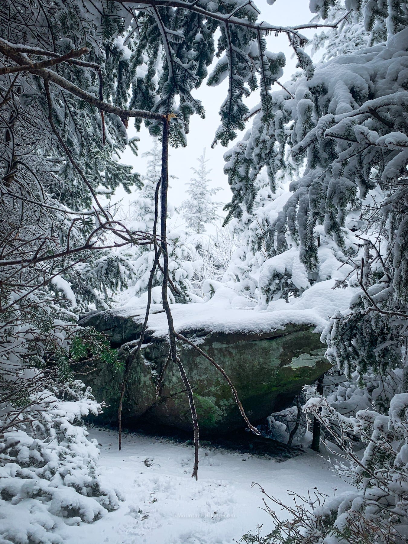 large boulder in snowy woods