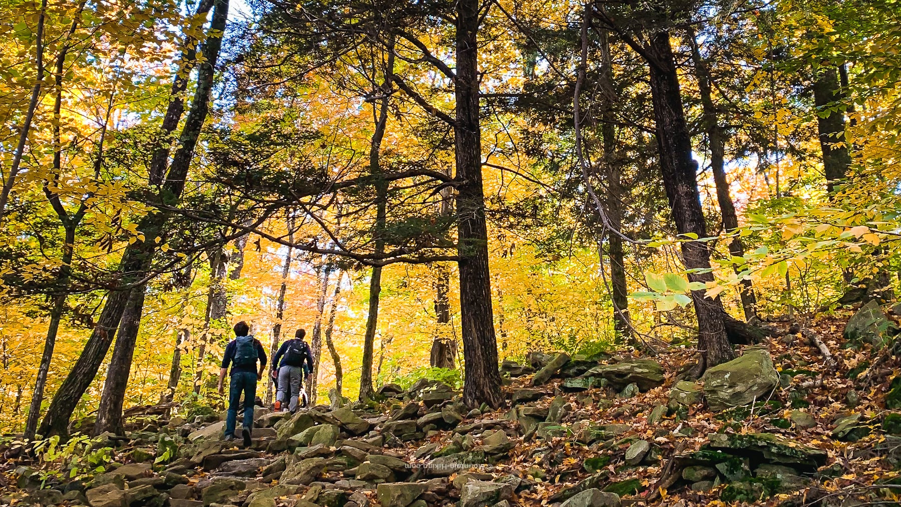 hikers climbing rugged trail in autumnal scene