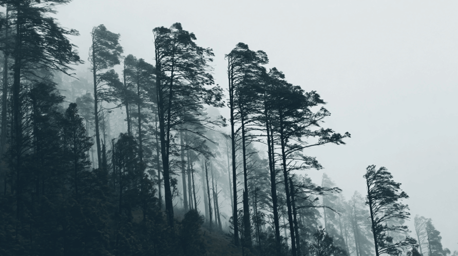 how windy is too windy to hike?