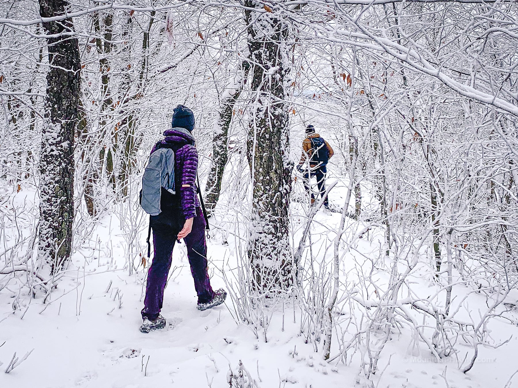 two hikers in snowy forest