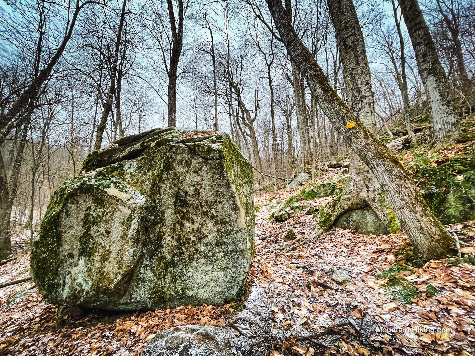 large boulder on Moxham Mountain