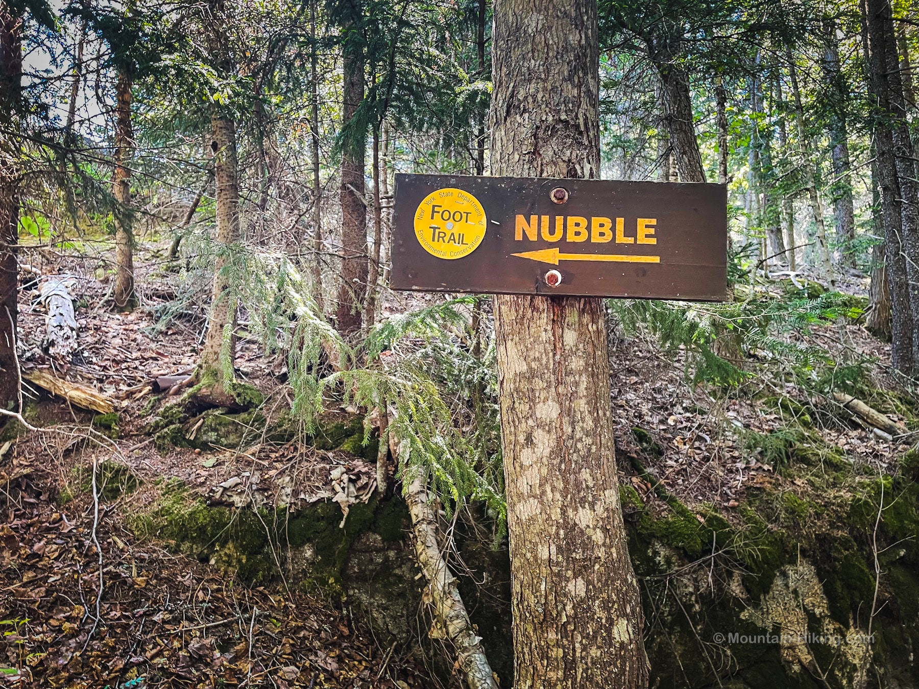 Trail sign in woods for Giant’s Nubble