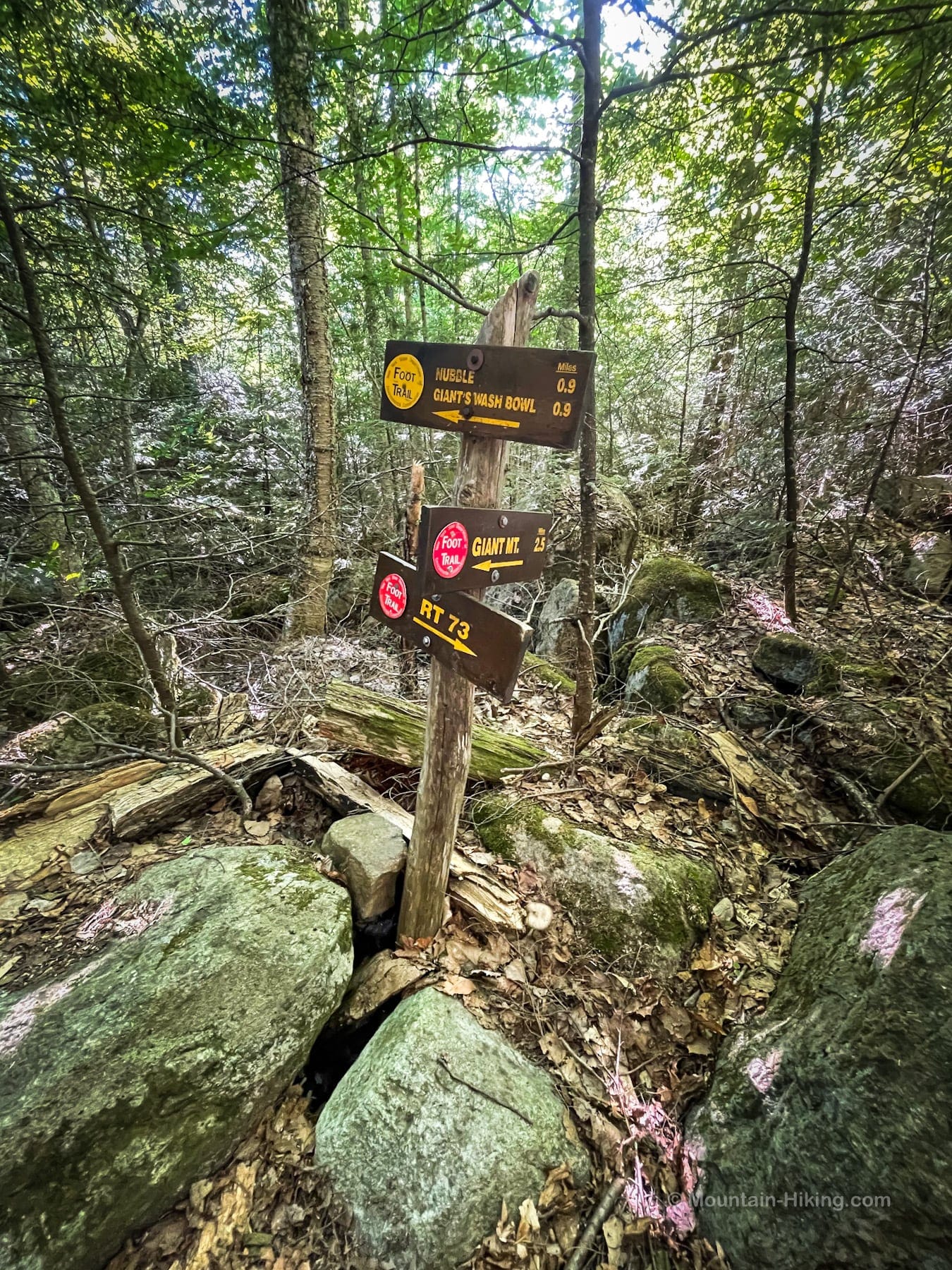 Trail signs in woods