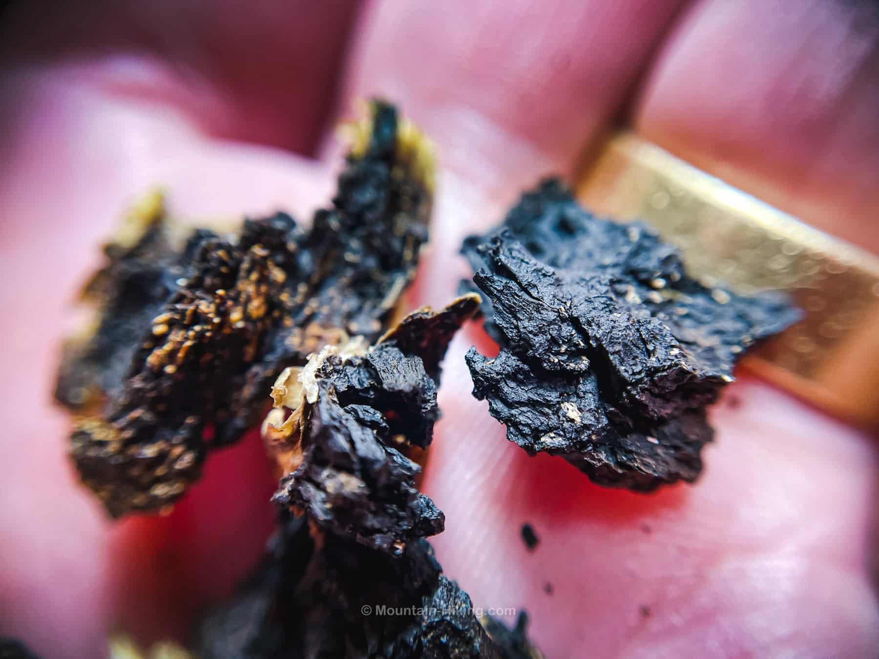 chaga conk pieces in human hand