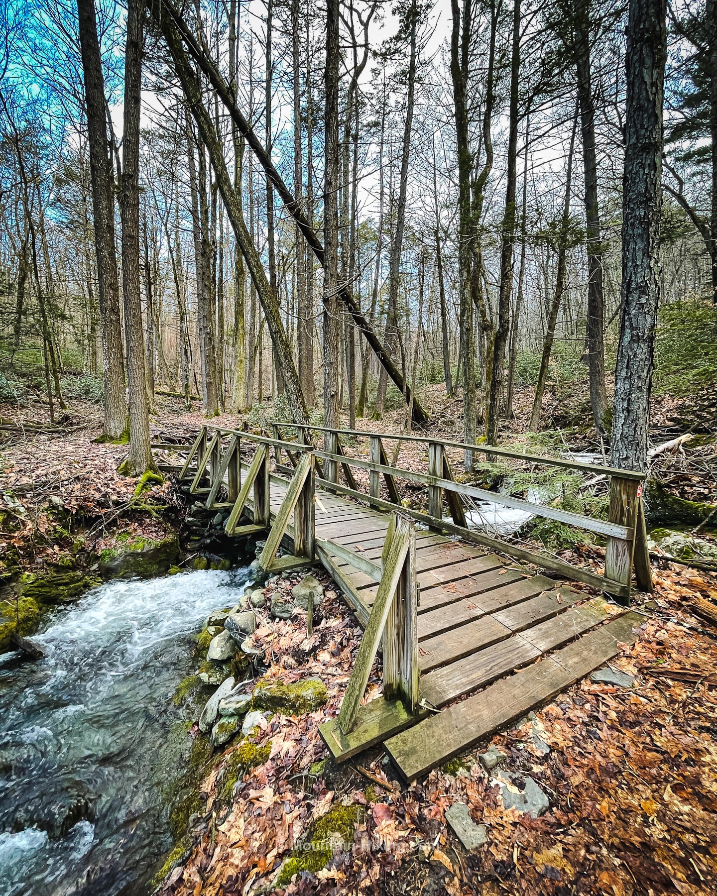 footbridge in the woods passing over a small brook