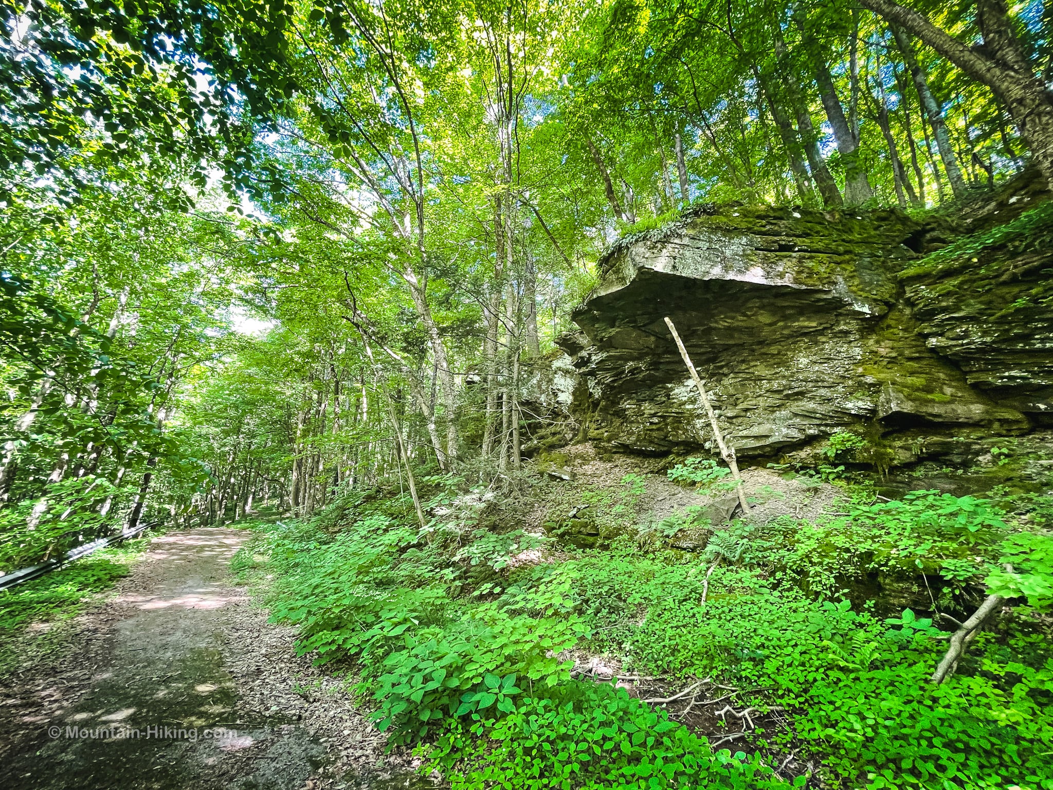 rock ledges in woods