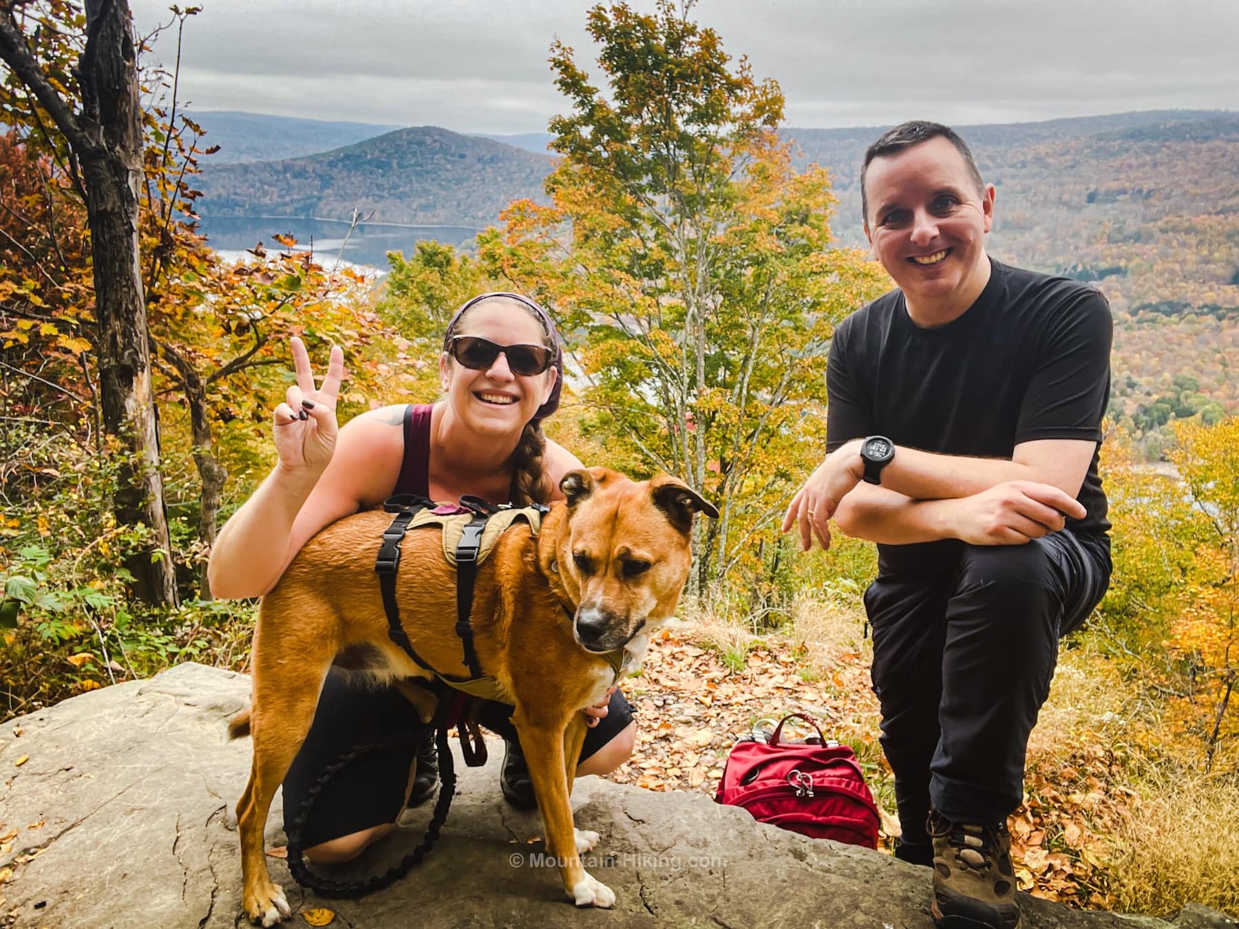 hiker friends and dog looking pretty happy