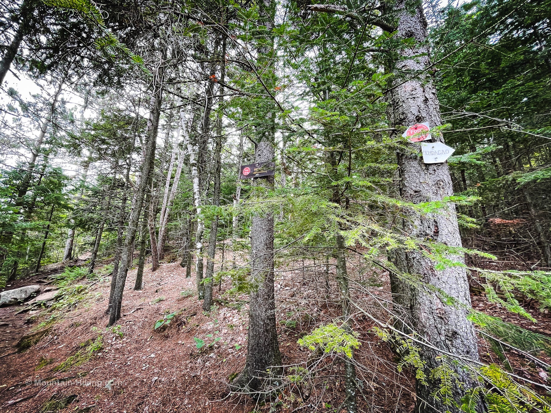 nun-da-ga-o loop trail signs affixed to tree