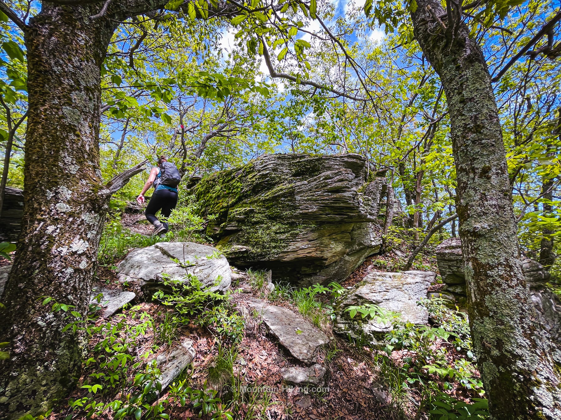 hiker and large boulder near the summit of Ashokan High Point