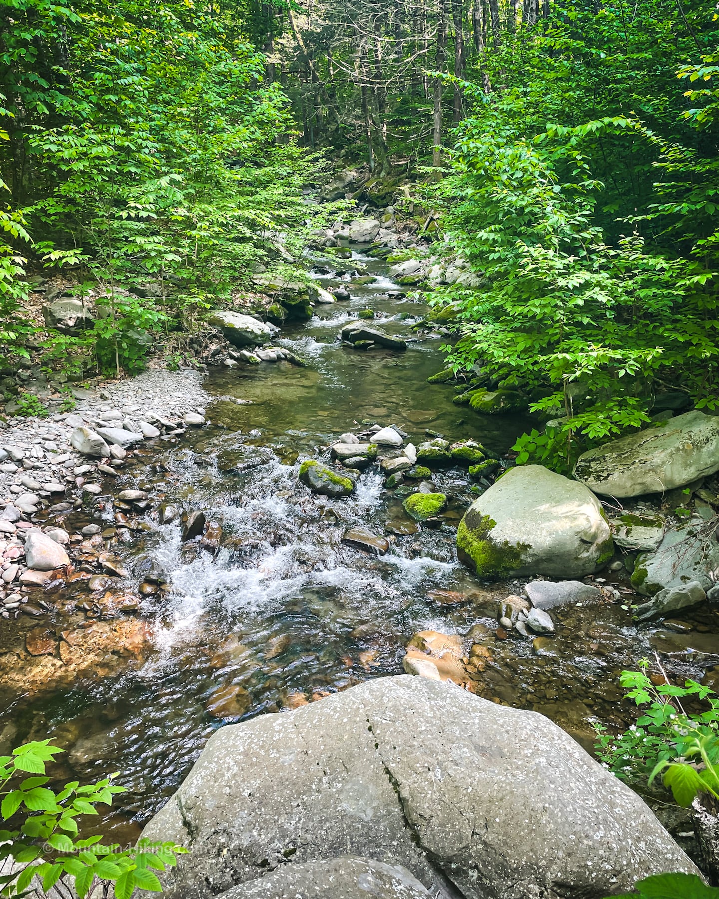 Kanape Brook on the way to Ashokan High Point and Mombaccus