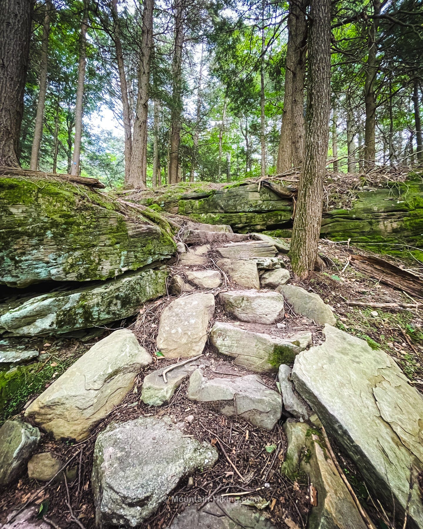Red Hill trail in forest, stone steps