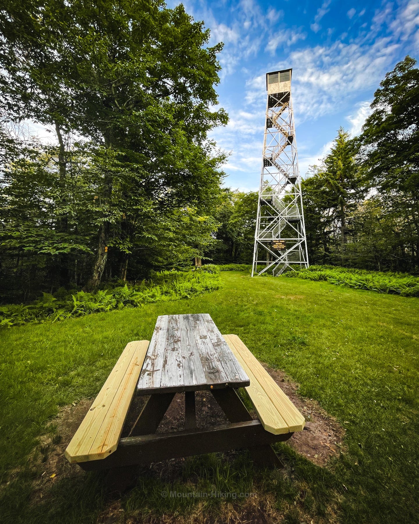 red hill picnic table and fire tower