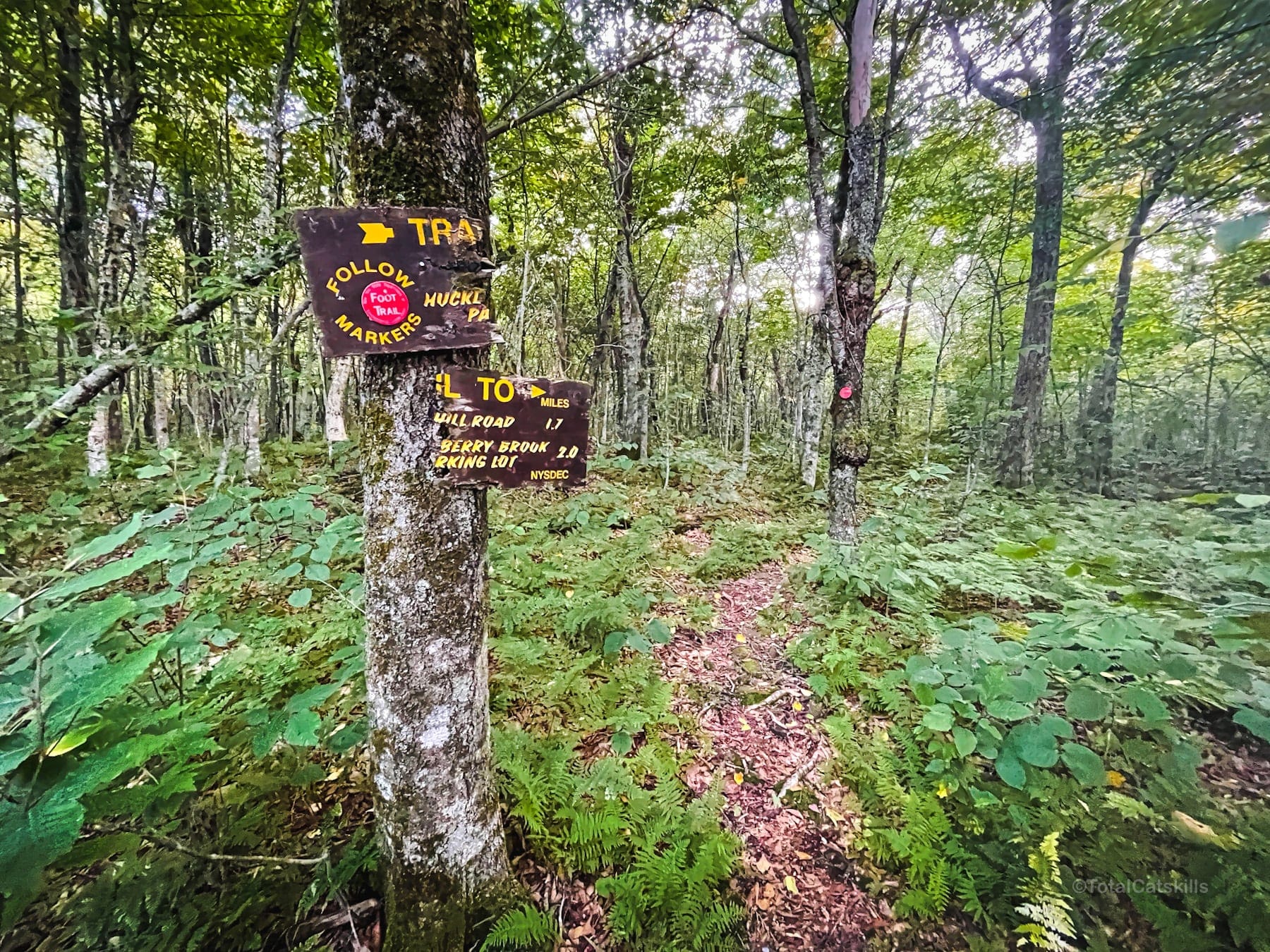 broken trail sign on huckleberry loop