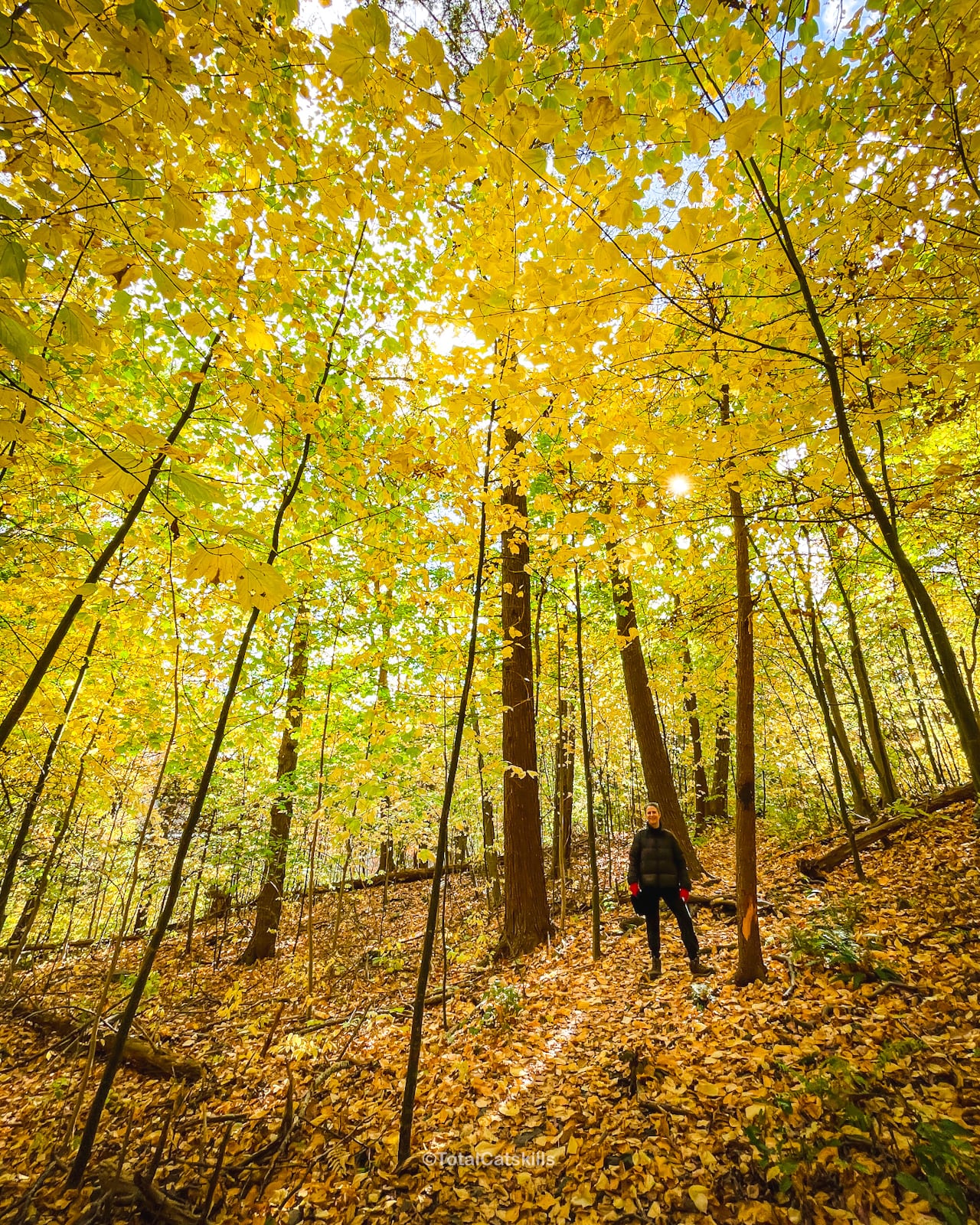 catskills fall foliage 2022 with hiker