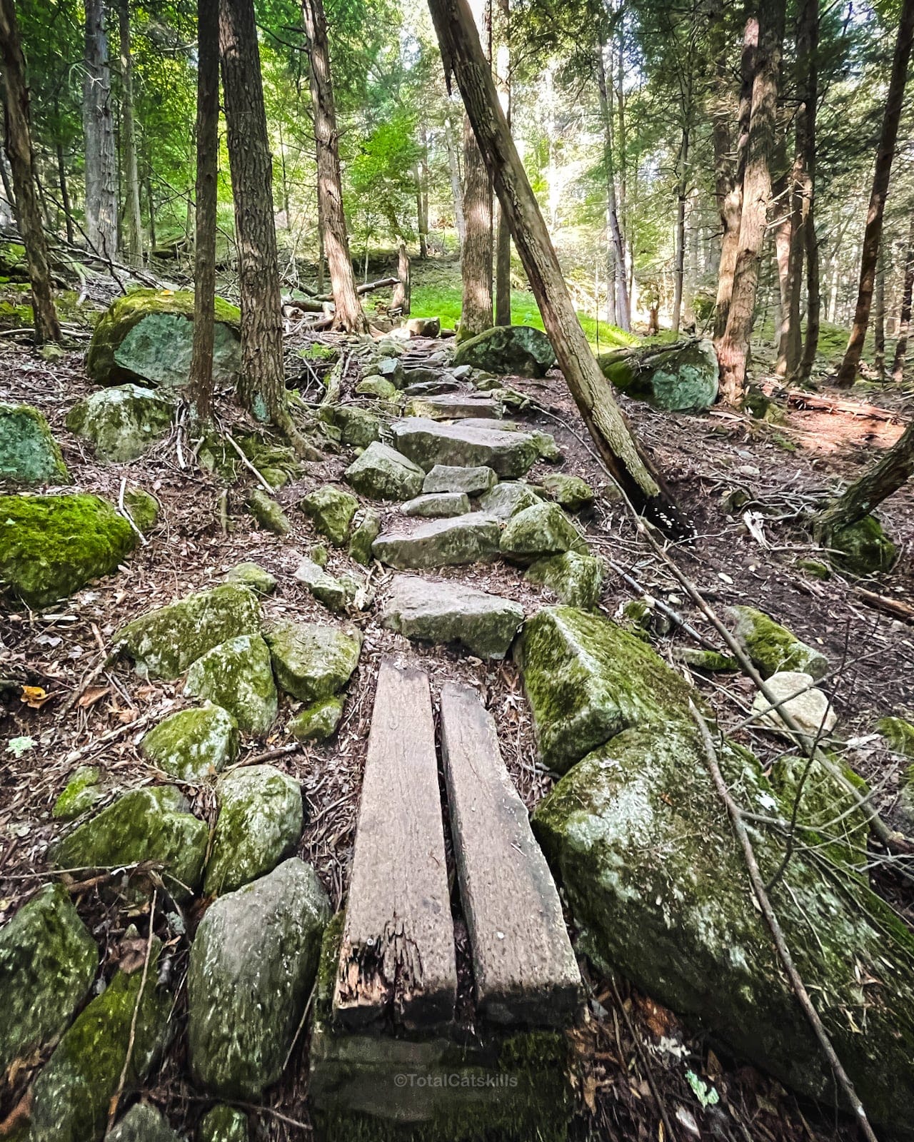 wooden and rock trail to rooster comb in the Adirondacks 