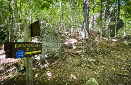 large glacial boulders and trail signage in forest pointing to Rooster Comb