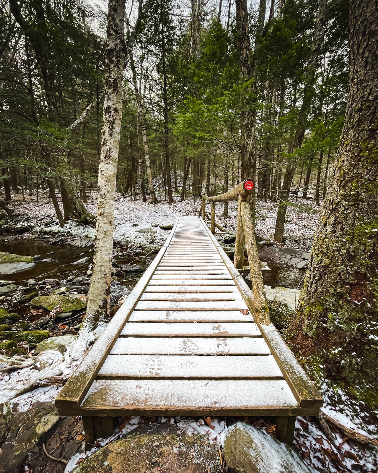 snow-dusted footbridge