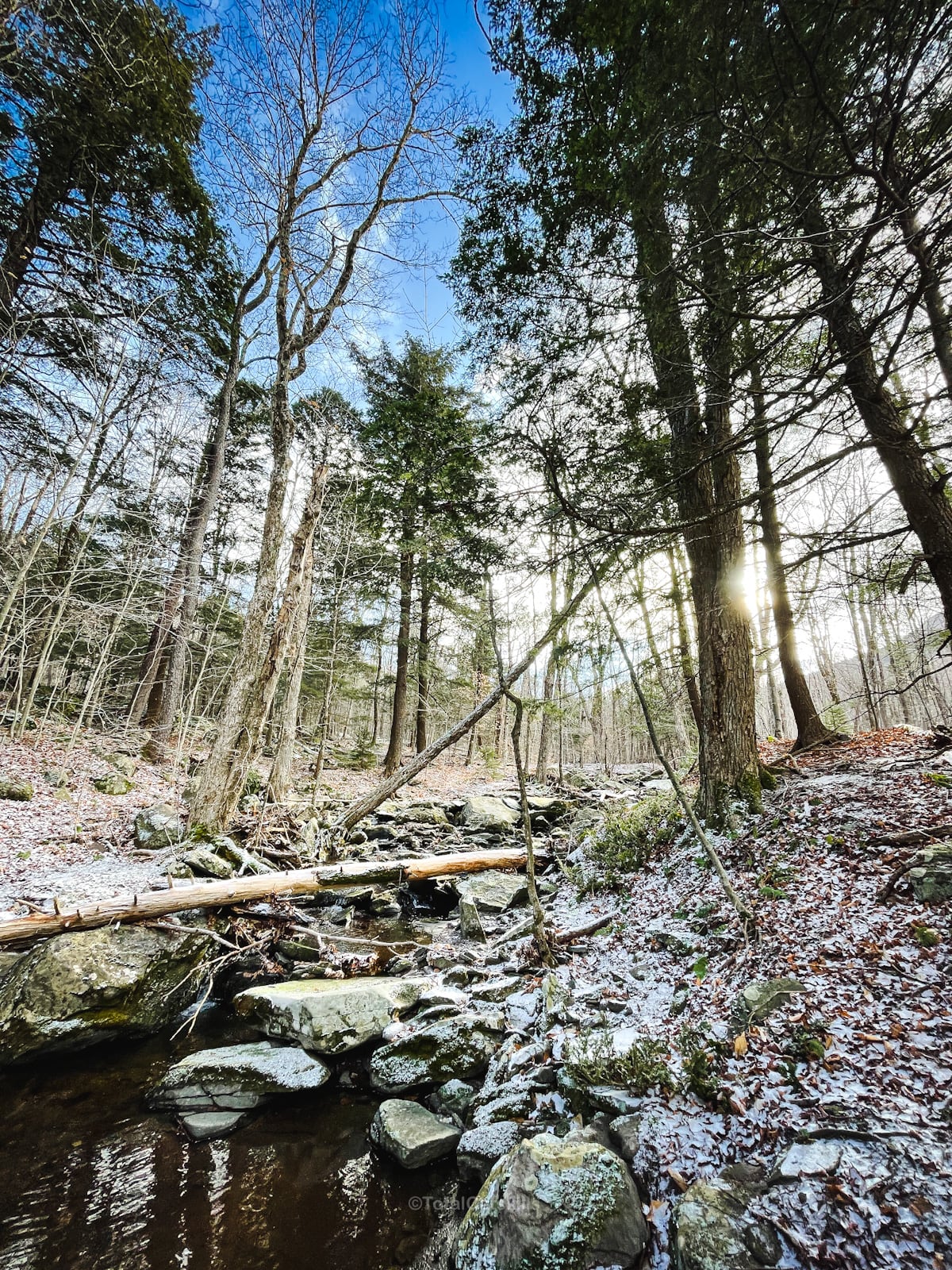 snow-dusted winter trail in The Catskills